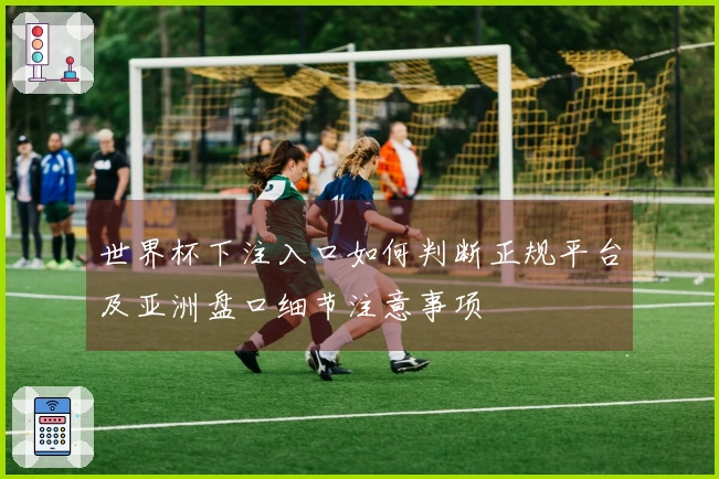 世界杯下注入口如何判断正规平台及亚洲盘口细节注意事项