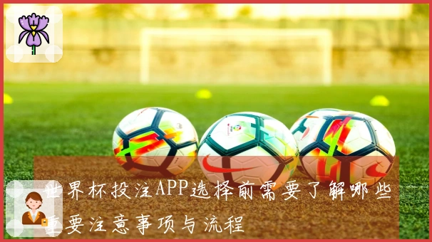 世界杯投注APP选择前需要了解哪些重要注意事项与流程