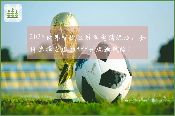 2026世界杯投注冠军竞猜玩法，如何选择合适的APP并规避风险？