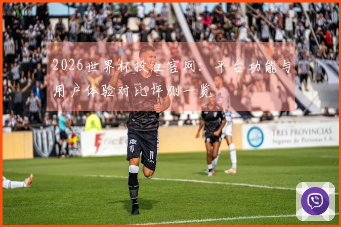 2026世界杯投注官网：平台功能与用户体验对比评测一览