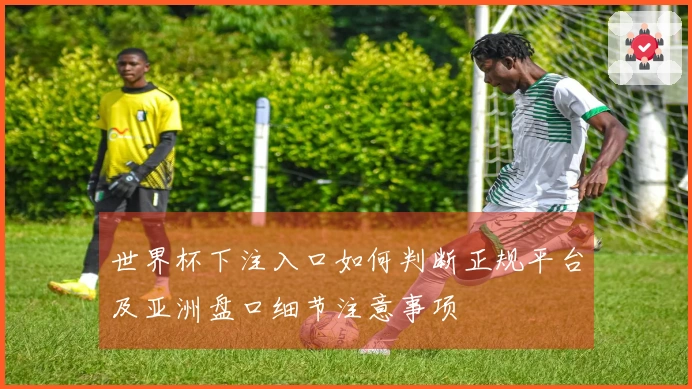 世界杯下注入口如何判断正规平台及亚洲盘口细节注意事项