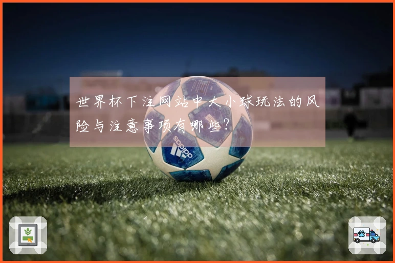 世界杯下注网站中大小球玩法的风险与注意事项有哪些？