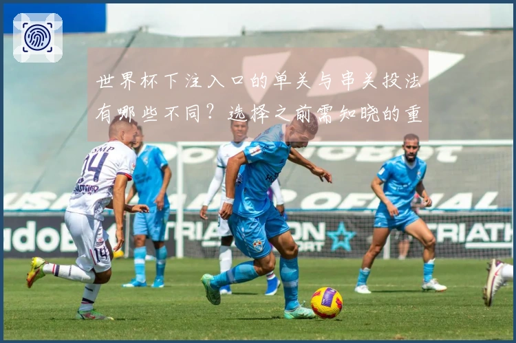 世界杯下注入口的单关与串关投法有哪些不同？选择之前需知晓的重点事项
