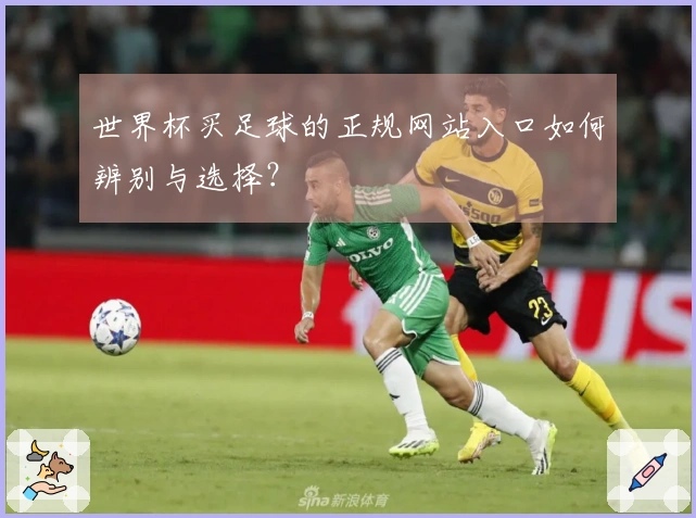 世界杯买足球的正规网站入口如何辨别与选择？