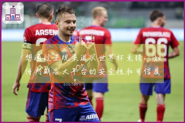 想通过正规渠道买世界杯竞猜，如何判断各大平台的安全性和可信度？