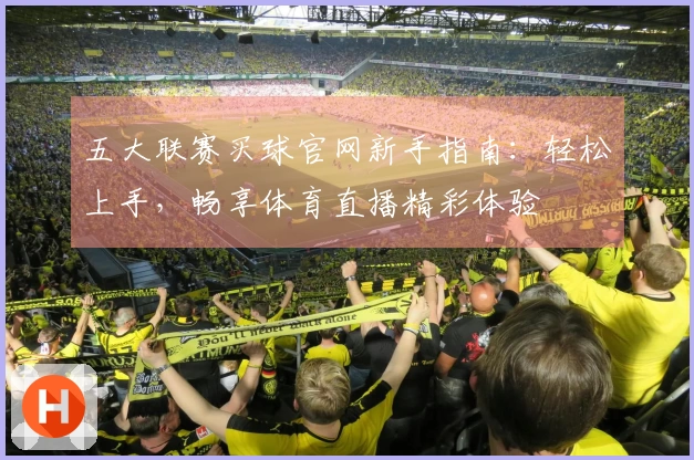 五大联赛买球官网新手指南：轻松上手，畅享体育直播精彩体验