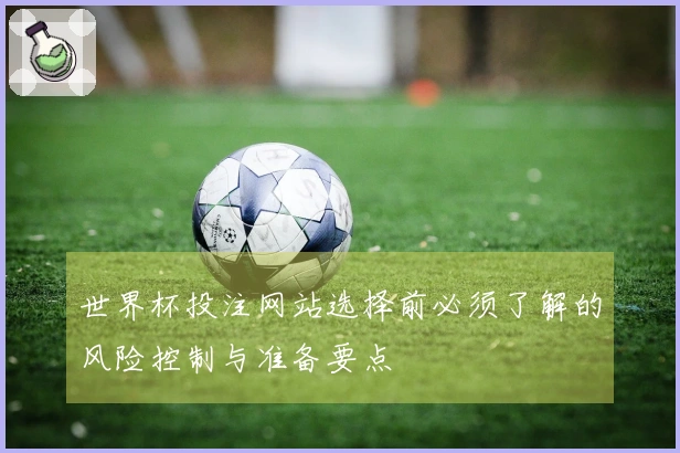 世界杯投注网站选择前必须了解的风险控制与准备要点