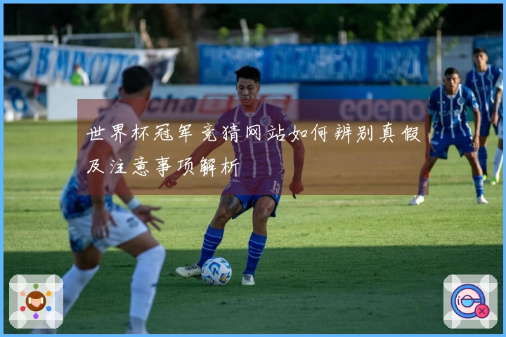 世界杯冠军竞猜网站如何辨别真假及注意事项解析