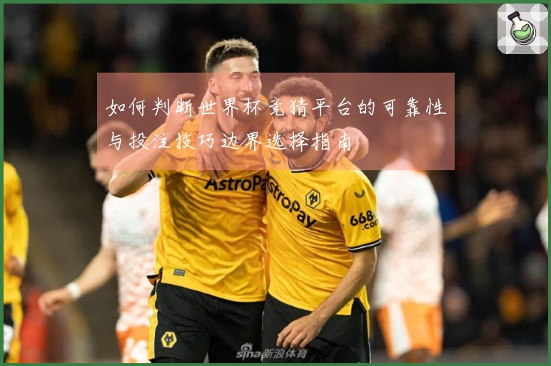 如何判断世界杯竞猜平台的可靠性与投注技巧边界选择指南