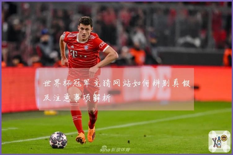 世界杯冠军竞猜网站如何辨别真假及注意事项解析