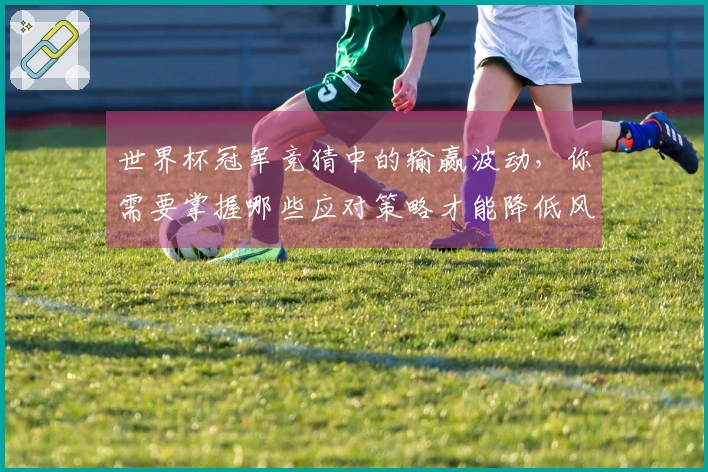世界杯冠军竞猜中的输赢波动，你需要掌握哪些应对策略才能降低风险