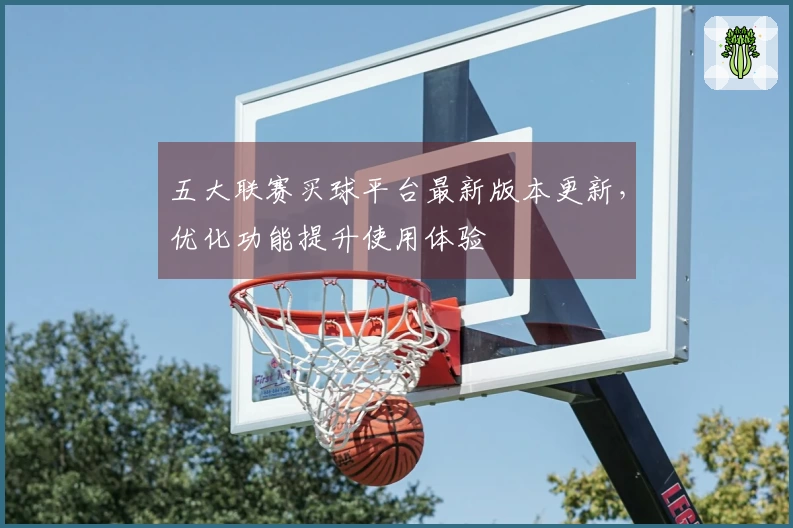 五大联赛买球平台最新版本更新，优化功能提升使用体验