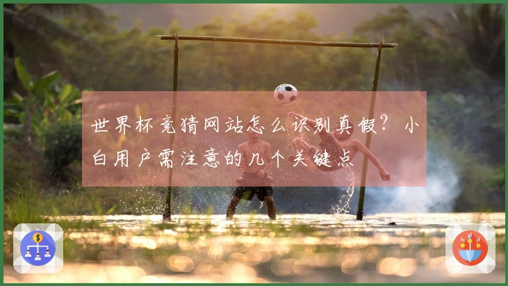 世界杯竞猜网站怎么识别真假？小白用户需注意的几个关键点