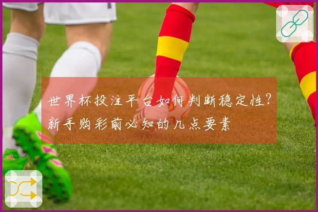世界杯投注平台如何判断稳定性？新手购彩前必知的几点要素