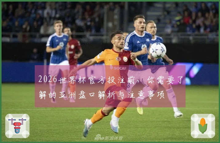 2026世界杯官方投注前，你需要了解的亚洲盘口解析与注意事项