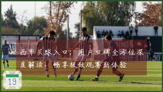 西甲买球入口：用户口碑全方位深度解读，畅享极致观赛新体验
